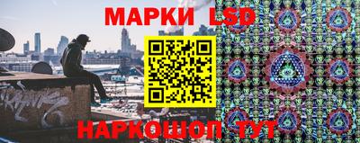 прущие грибы Донской